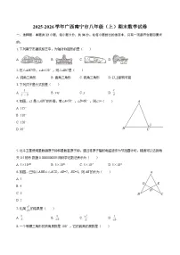 2025-2026学年广西南宁市八年级（上）期末数学试卷-自定义类型