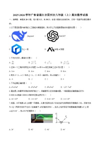 2025-2026学年广东省湛江市雷州市八年级(上)期末数学试卷-自定义类型