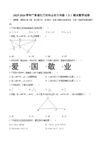 2025-2026学年广东省江门市台山市八年级（上）期末数学试卷-自定义类型