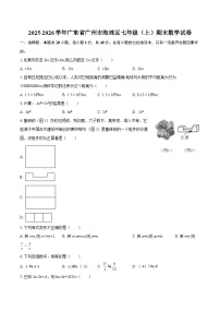 2025-2026学年广东省广州市海珠区七年级（上）期末数学试卷-自定义类型