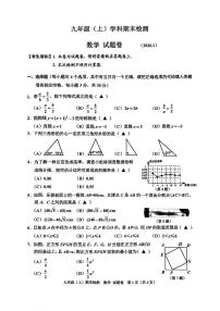 2026.1嘉兴市九上期末数学试卷（含答案）