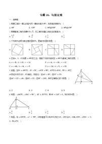 2025年上海市中考数学一轮复习  练习题 专题18：勾股定理（含答案+解析）