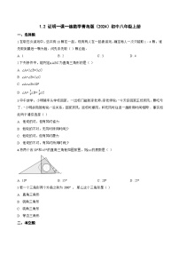 青岛版（2024）八年级上册（2024）1.2 证明当堂达标检测题