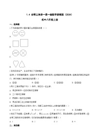 初中数学浙教版(2024)八年级上册(2024)1.4 全等三角形同步测试题