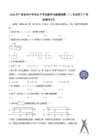 2026年广东省初中学业水平考试数学自编模拟题（二）【适用于广东省梅州市】-自定义类型