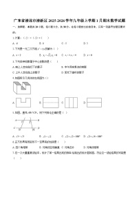 广东省清远市清新区2025-2026学年九年级上学期1月期末数学试题-自定义类型