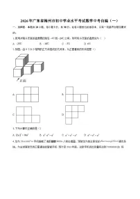 2026年广东省梅州市初中学业水平考试数学中考自编（一）-自定义类型