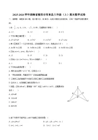 2025-2026学年湖南省衡阳市祁东县八年级(上)期末数学试卷-自定义类型