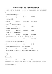 2025-2026学年八年级上学期期末数学试题-自定义类型