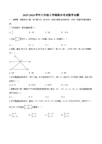 2025-2026学年八年级上学期期末考试数学试题-自定义类型