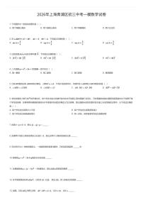 2026年上海青浦区初三中考一模数学试卷（有答案解析）