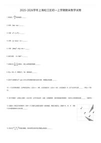 2025~2026学年上海松江区初一上学期期末数学试卷（有答案解析）