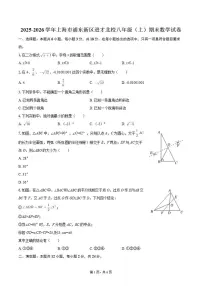 2025-2026学年上海市浦东新区进才北校八年级(上)期末数学试卷