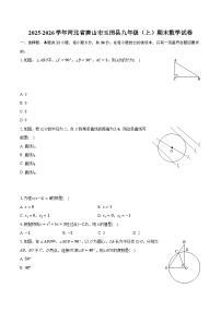 2025-2026学年河北省唐山市玉田县九年级（上）期末数学试卷-普通用卷