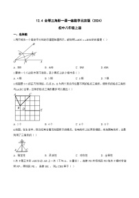 北京版（2024）八年级上册（2024）12.4 全等三角形测试题