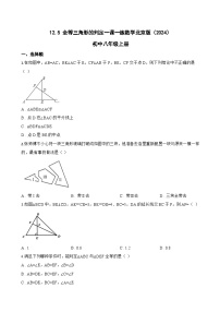 数学八年级上册(2024)12.5 全等三角形的判定课后练习题
