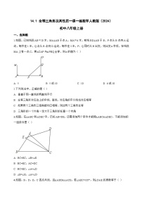 人教版(2024)八年级上册(2024)14.1 全等三角形及其性质课时练习