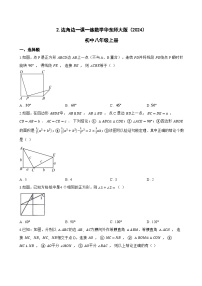 初中数学华东师大版（2024）八年级上册（2024）2. 边角边课时训练