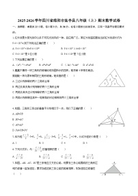 2025-2026学年四川省绵阳市盐亭县八年级（上）期末数学试卷-自定义类型