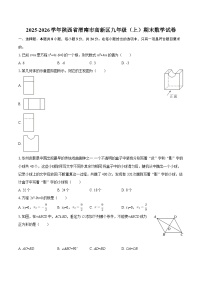 2025-2026学年陕西省渭南市高新区九年级(上)期末数学试卷-自定义类型