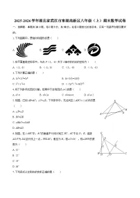 2025-2026学年湖北省武汉市东湖高新区八年级(上)期末数学试卷-自定义类型