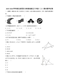 2025-2026学年湖北省武汉市东湖高新区八年级(上)期末数学试卷-自定义类型