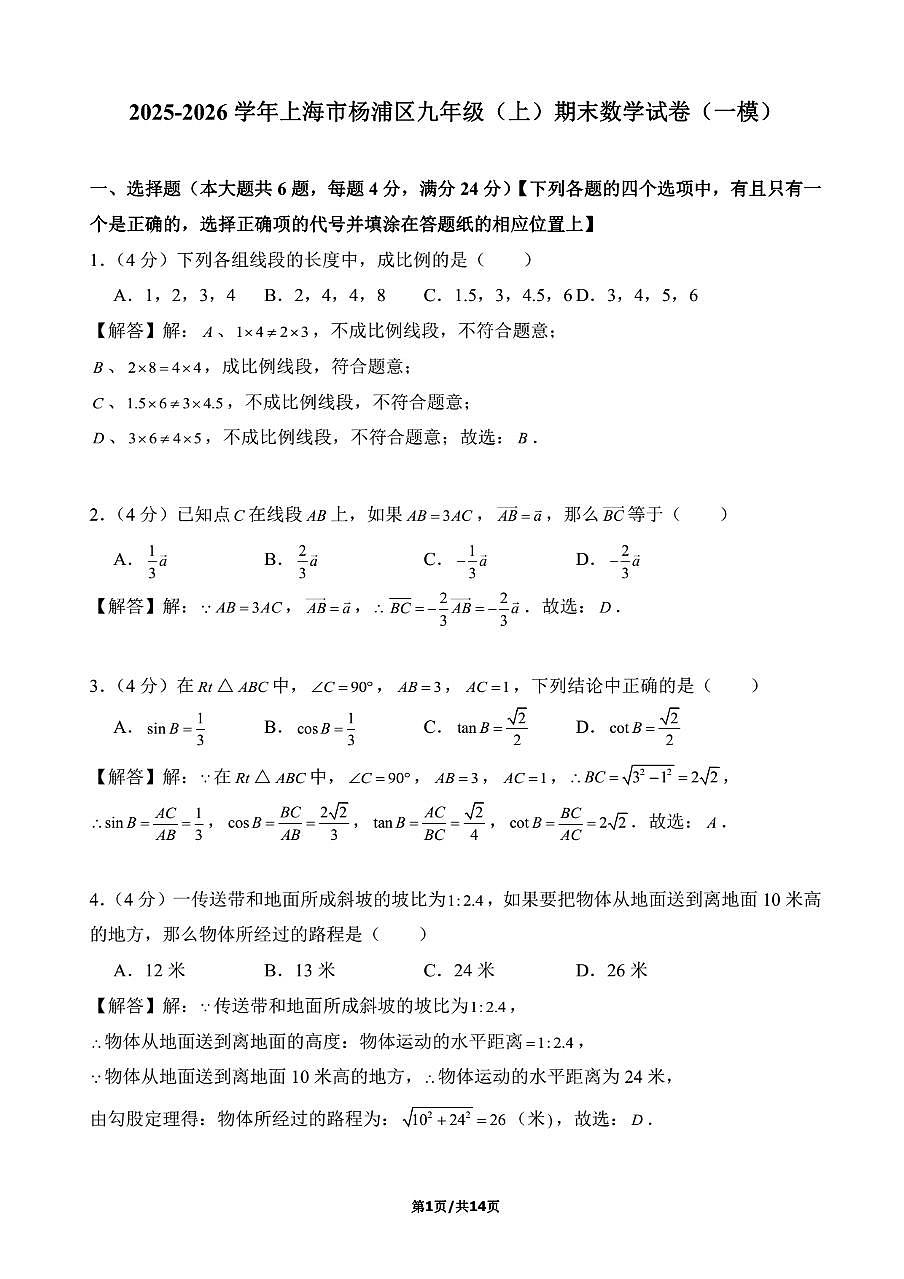 上海市杨浦区2026年上学期初三一模 数学试题(解析版)第1页