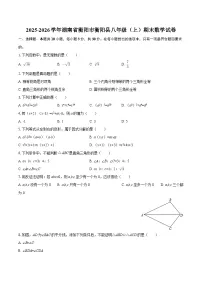 2025-2026学年湖南省衡阳市衡阳县八年级(上)期末数学试卷-自定义类型