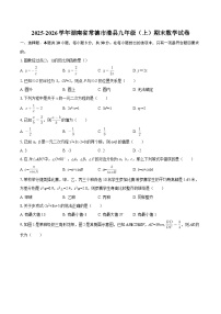 2025-2026学年湖南省常德市澧县九年级（上）期末数学试卷-自定义类型