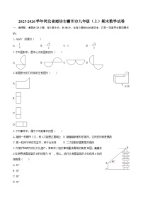 2025-2026学年河北省廊坊市霸州市九年级（上）期末数学试卷-自定义类型