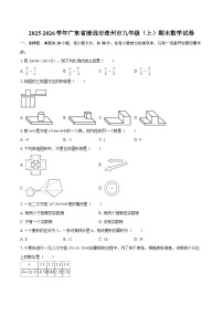 2025-2026学年广东省清远市连州市九年级（上）期末数学试卷-自定义类型