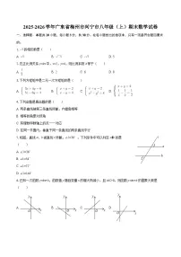 2025-2026学年广东省梅州市兴宁市八年级（上）期末数学试卷-自定义类型