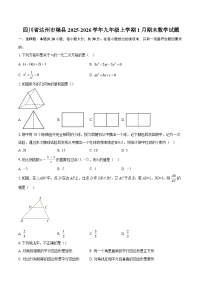 四川省达州市渠县2025-2026学年九年级上学期1月期末数学试题-自定义类型