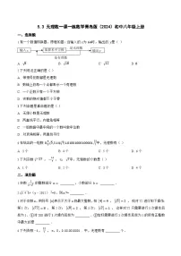 初中数学青岛版(2024)八年级上册(2024)5.3 无理数同步测试题