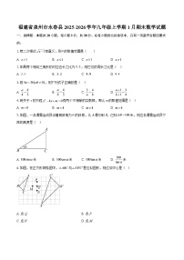 福建省泉州市永春县2025-2026学年九年级上学期1月期末数学试题-自定义类型