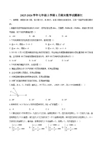 2025-2026学年七年级上学期1月期末数学试题浙江-自定义类型
