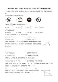 2025-2026学年广东省广州市白云区八年级（上）期末数学试卷-自定义类型