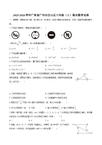 2025-2026学年广东省广州市白云区八年级（上）期末数学试卷-自定义类型