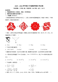 河南周口市2025-2026学年度八年级数学期末考试卷（原卷+解析）