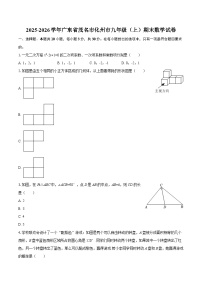 2025-2026学年广东省茂名市化州市九年级(上)期末数学试卷-自定义类型