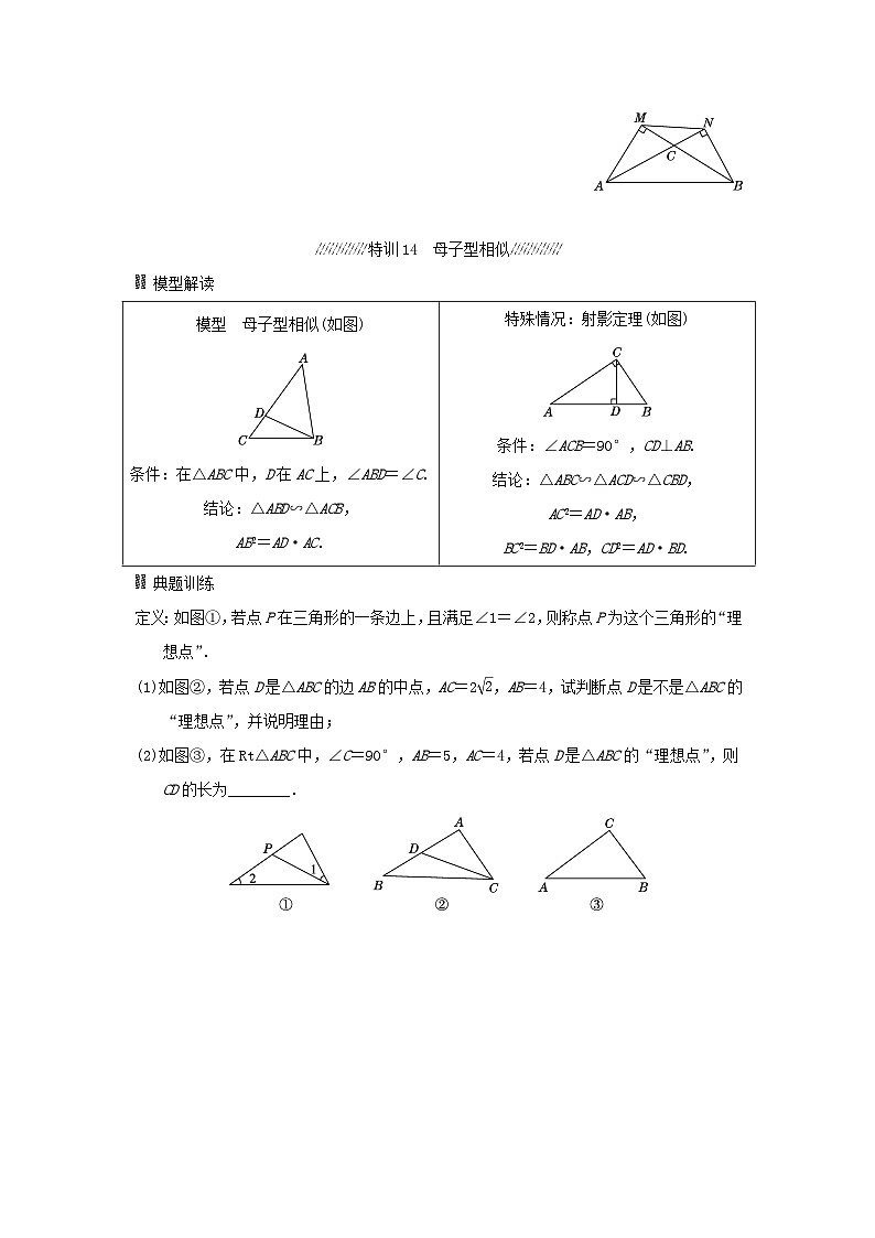 福建省2025中考数学专题二相似模型高效拆分特训第3页
