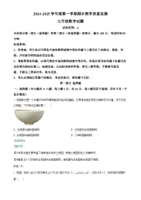 广东省深圳市南山区上学期九年级期末数学试题(解析版)-A4
