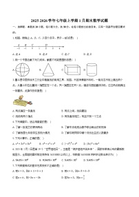 2025-2026学年七年级上学期1月期末数学试题（山东）（含答案+解析）