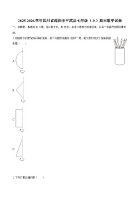 2025-2026学年四川省绵阳市平武县七年级（上）期末数学试卷-自定义类型
