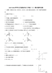 2025-2026学年江苏省徐州市八年级(上)期末数学试卷-自定义类型