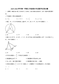 2025-2026学年第一学期九年级期末考试数学试卷安徽-自定义类型