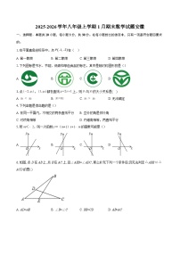 2025-2026学年八年级上学期1月期末数学试题安徽-自定义类型