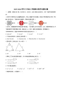 2025-2026学年八年级上学期期末数学试题安徽-自定义类型