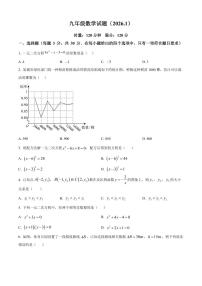 湖南株洲市渌口区2025-2026学年九年级上学期期末考试数学试题(试卷+解析)