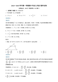 广东实验中学深圳学校上学期九年级期中考试数学试题（解析版）-A4
